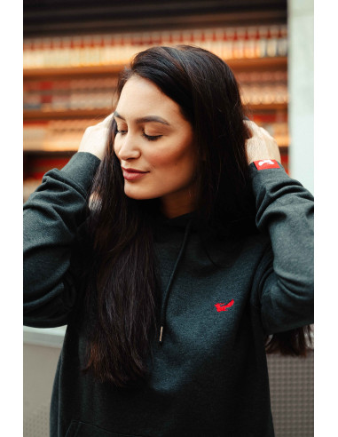 Dámská mikina Trigger s kapucí šedá